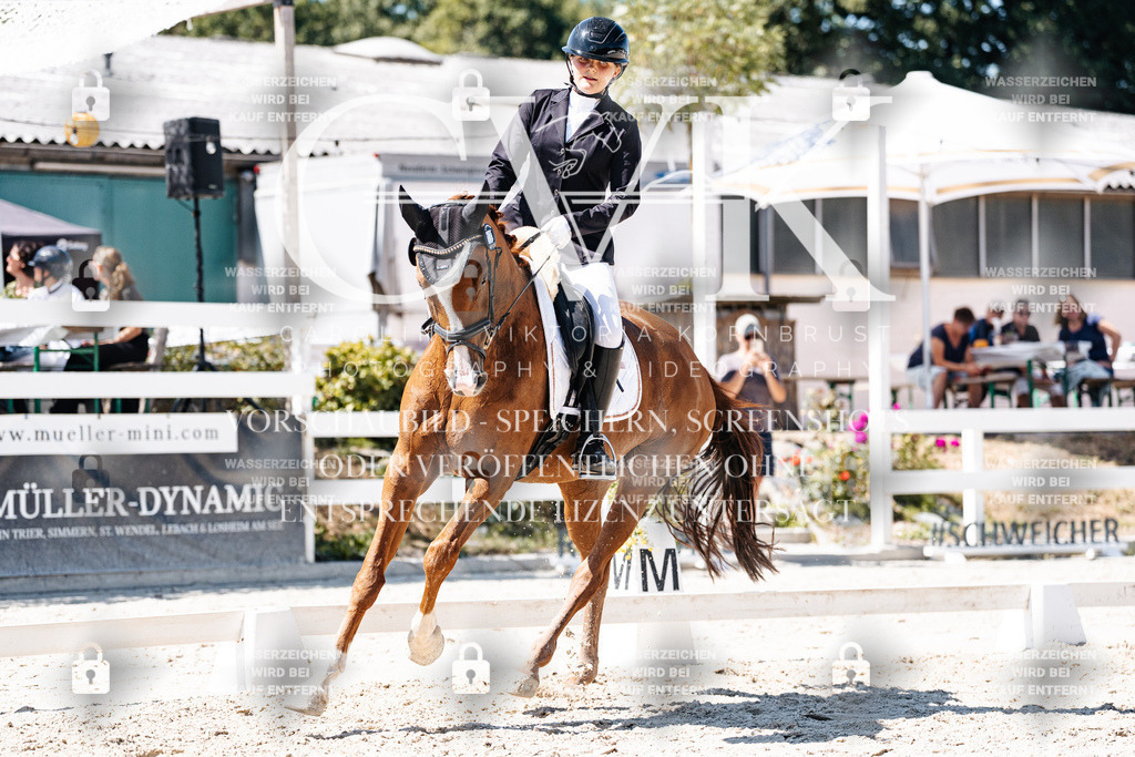 CK900424 | Turnierfotografie Pferdefotografie Trier Rheinland-Pfalz Pferdesport Reitsport Tierfotografie Sportfotografie Pferdevideo Pferdevideografie Equestrianvideography equestrianphotography  - Realisiert mit Pictrs.com