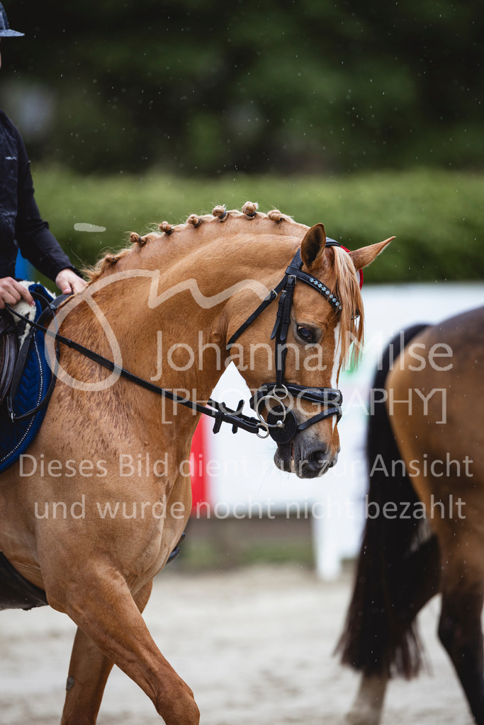 240504_PonyTrophy-308 | Deine schönsten Turniermomente als professionelle Fotos! Entdecke hochwertige Pferdesport-Fotografie im Online-Shop. Jetzt Fotos finden & bestellen!