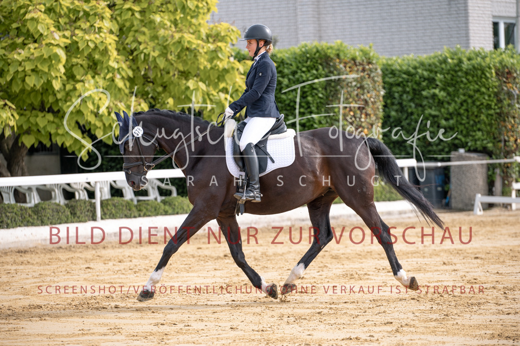 Schugtsche-Aluta25-40.DressurprfA_-140 | Schugtsche Fotografie - Realisiert mit Pictrs.com