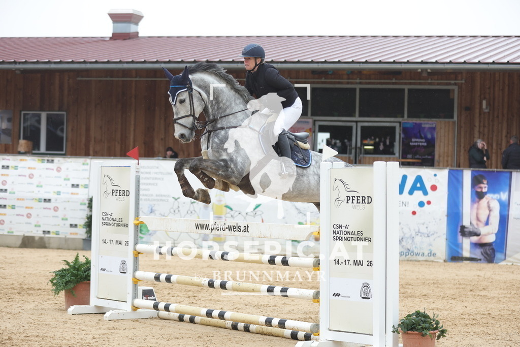 0P6A1267 | Willkommen bei Brunnmayr - Design & Fotografie – Ihrem Spezialisten für Reitturniere und Pferdeveranstaltungen in Oberösterreich, Salzburg und Bayern! Seit über 17 Jahren sind wir leidenschaftlich dabei.