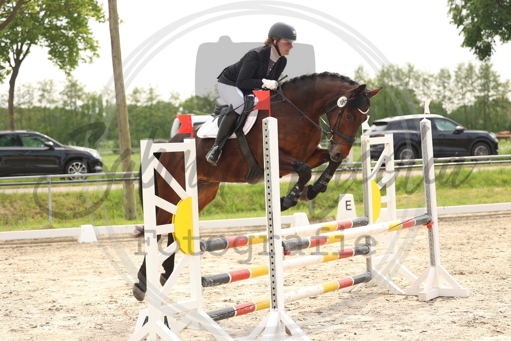 994A7593 | sabrinanicolaifotografie - Realisiert mit Pictrs.com