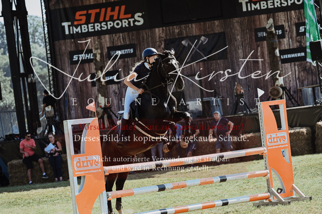 DSC_5919 | Pferde- und Turnierfotografie in Westsachsen. Pferdeportraits, Auftragszeichnungen und intuitive Kunst.