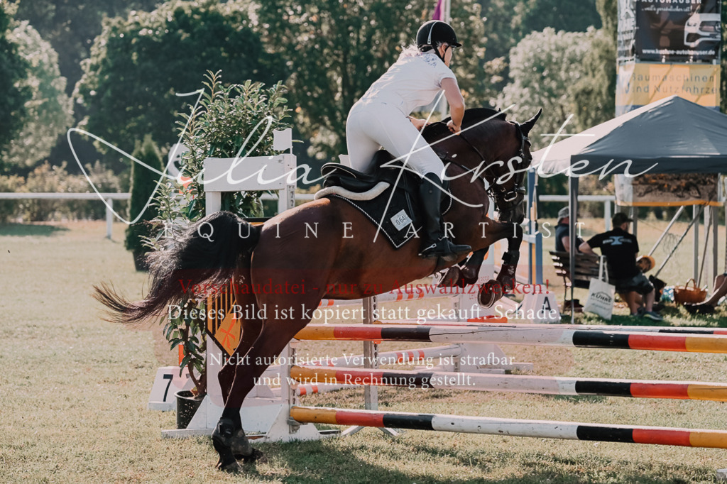 DSC_4618 | Pferde- und Turnierfotografie in Westsachsen. Pferdeportraits, Auftragszeichnungen und intuitive Kunst.