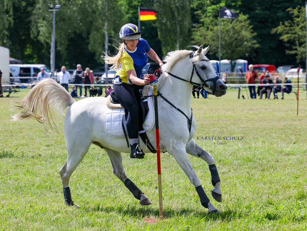 1B3A4245 | Reitsport Reiten