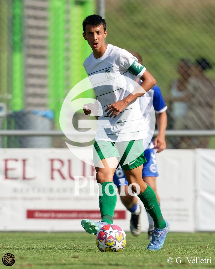 DZ9_6491 | Velletri Photo