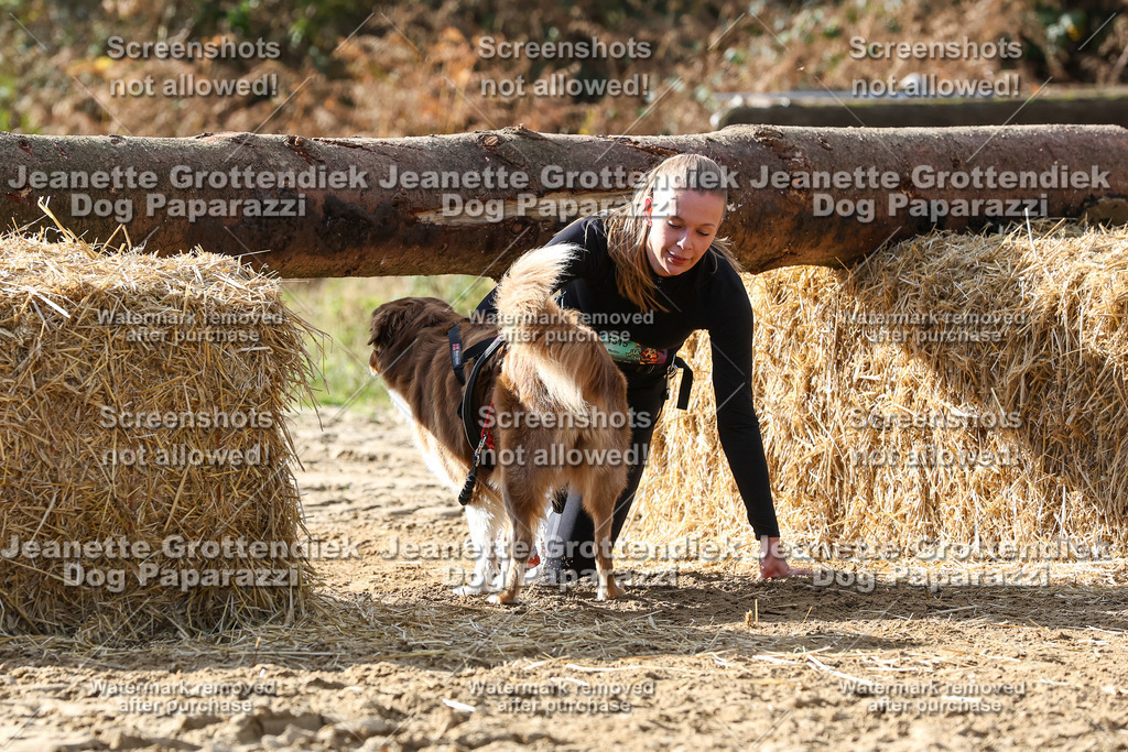 Dog Paparazzi - Strongdog 10-25-5757 | Dog Paparazzi Jeanette Grottendiek Fotografie & Videografie - Realisiert mit Pictrs.com