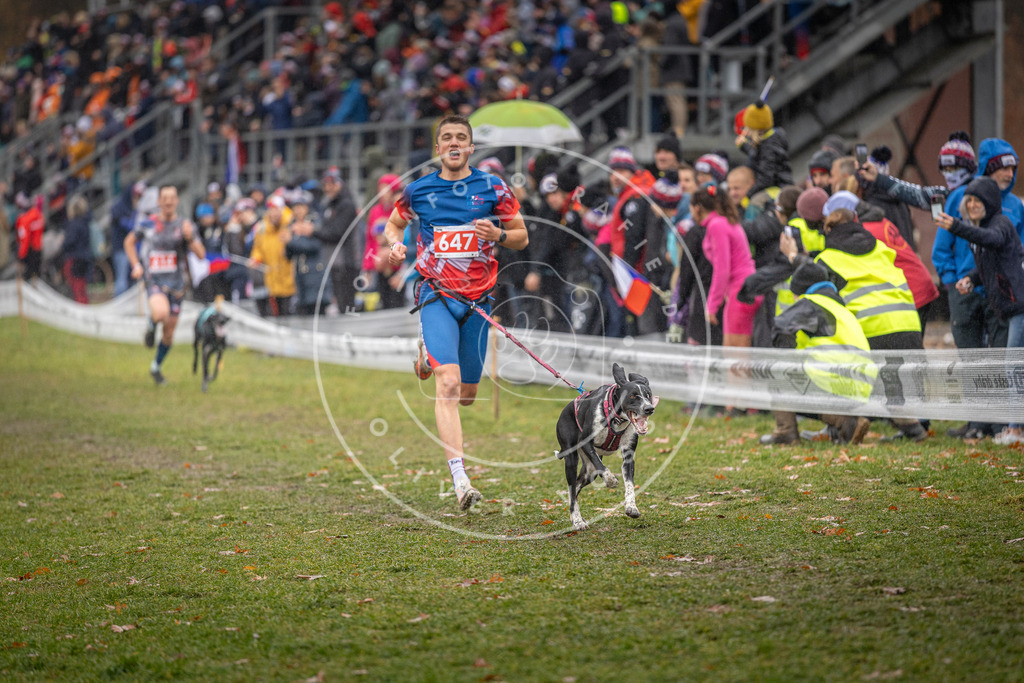 CaniXpix_DV3A9638 | Hundefotografie, Tierfotograf, Pfotenfotografie, Fotoshooting Hund, Hunde Portrait, Hundesport, Hundeportraits, Heideshooting, Hunde, Sportfotograf, Hundefotograf, Turnierhundsport, THS,  - Realisiert mit Pictrs.com