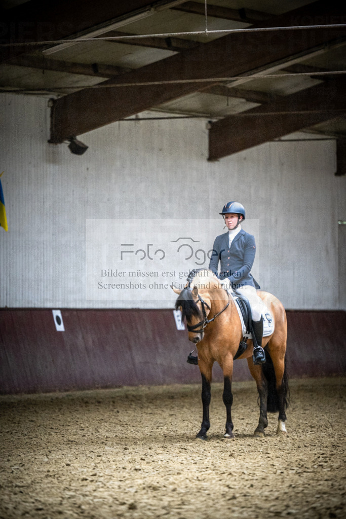 DOS_1580 | Reitturnier Lüdinghausen - Realisiert mit Pictrs.com