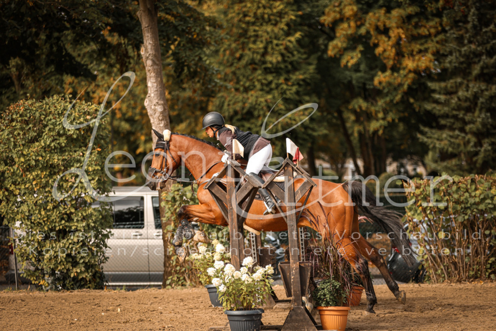 04.SaSpES00057 | Leoni Ertmer Photography - Realisiert mit Pictrs.com