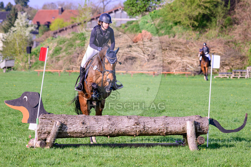 18042026-Gernlinden-02-0315 | Fokus Hufschlag Fotografie - Realisiert mit Pictrs.com