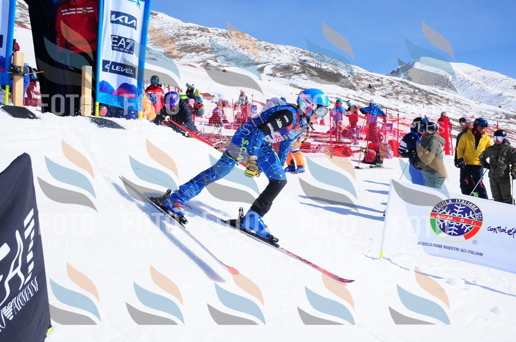 DSC_4176 | holidayphoto