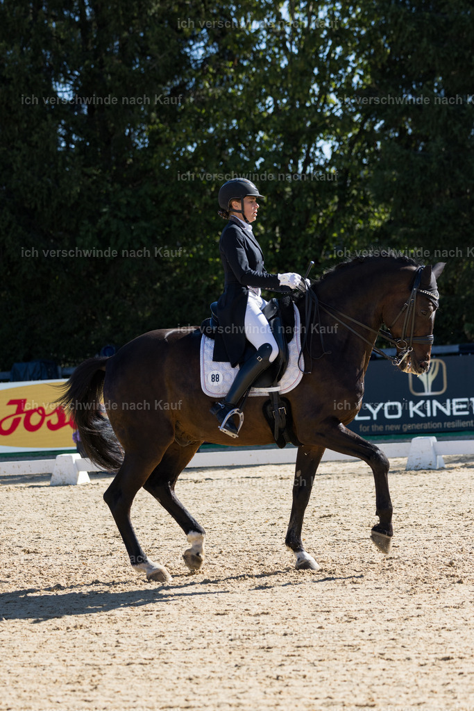 FHC2026_P07_88_17656 | working equitationturnier fotograf videograf stoibphotography marixx film working equitation deutschland reitsport turnierfotografie eventfotografie equestrian events