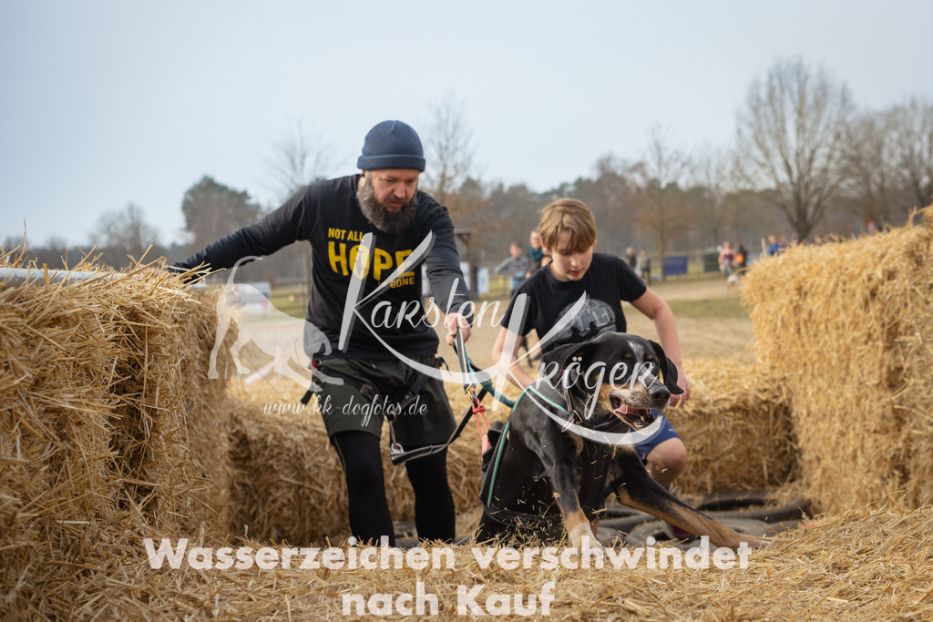 1040_ZZ97577 | kk-dogfotos