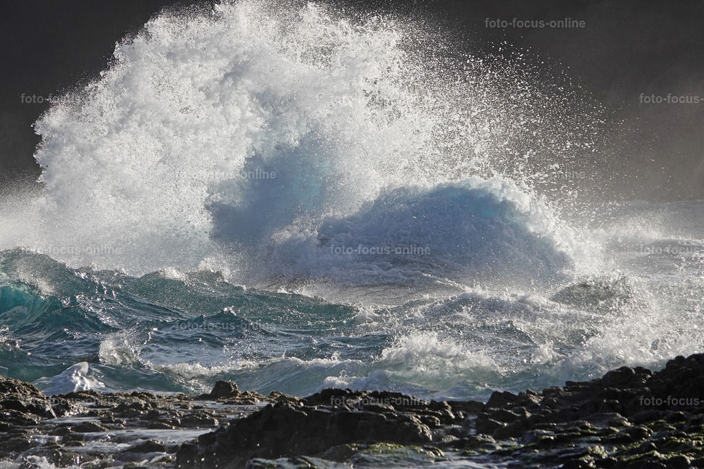 waves | Elemental power of the waves