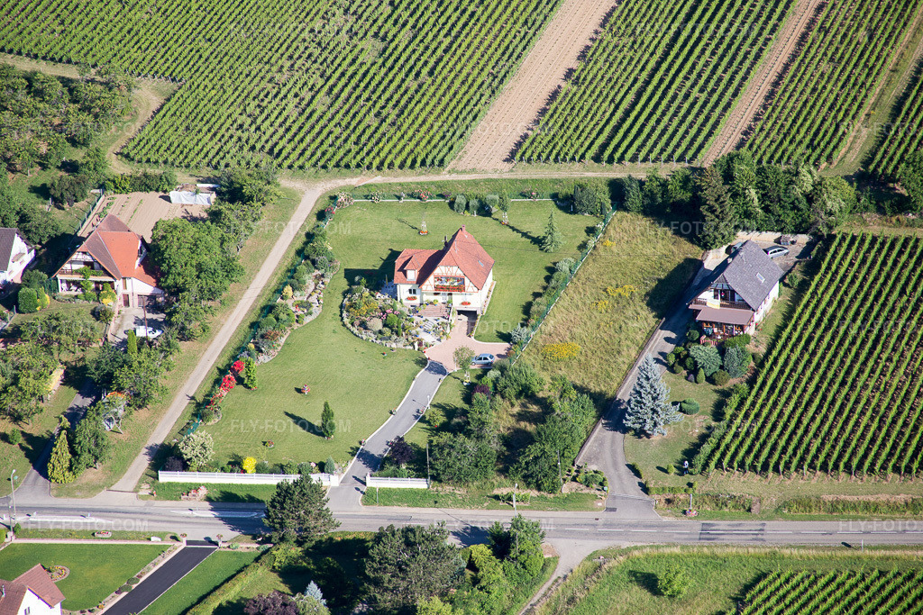 Aerial view: View of the town in Rott in the state Bas-Rhin, France.Photo: IMG_083007.jpg taken on 06/26/2015 by Werner Riehm/FLY-FOTO.comResolution of the original: 5472 x 3648 px