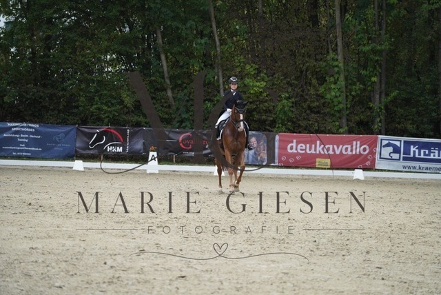 VAN05235 | Marie Giesen Fotografie - Realisiert mit Pictrs.com