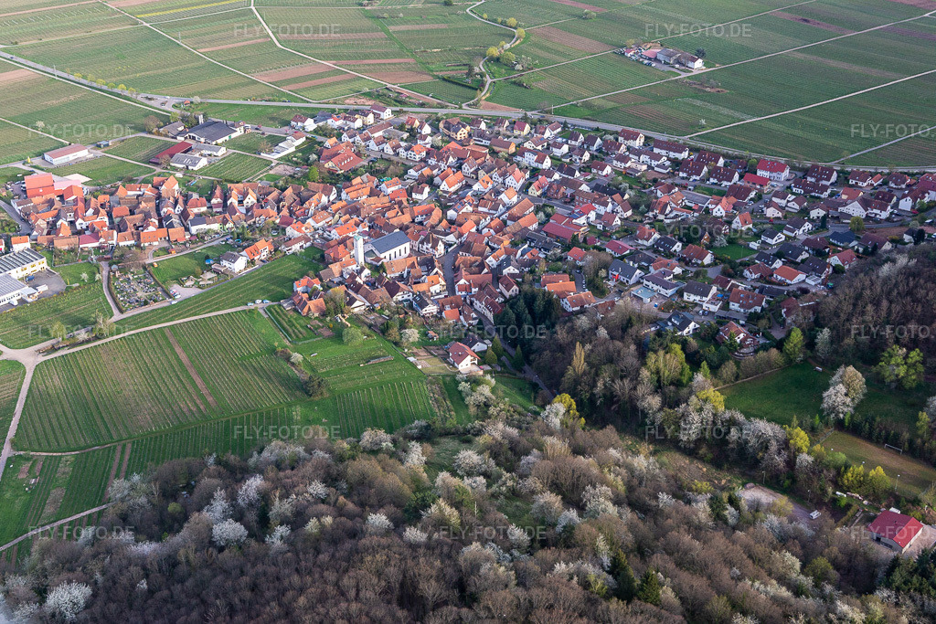 Luftbild:  in Eschbach im Bundesland Rheinland-Pfalz in Deutschland. Foto: IMG_131163.jpg vom 12.04.2022 durch Werner Riehm/FLY-FOTO.deMaschinen