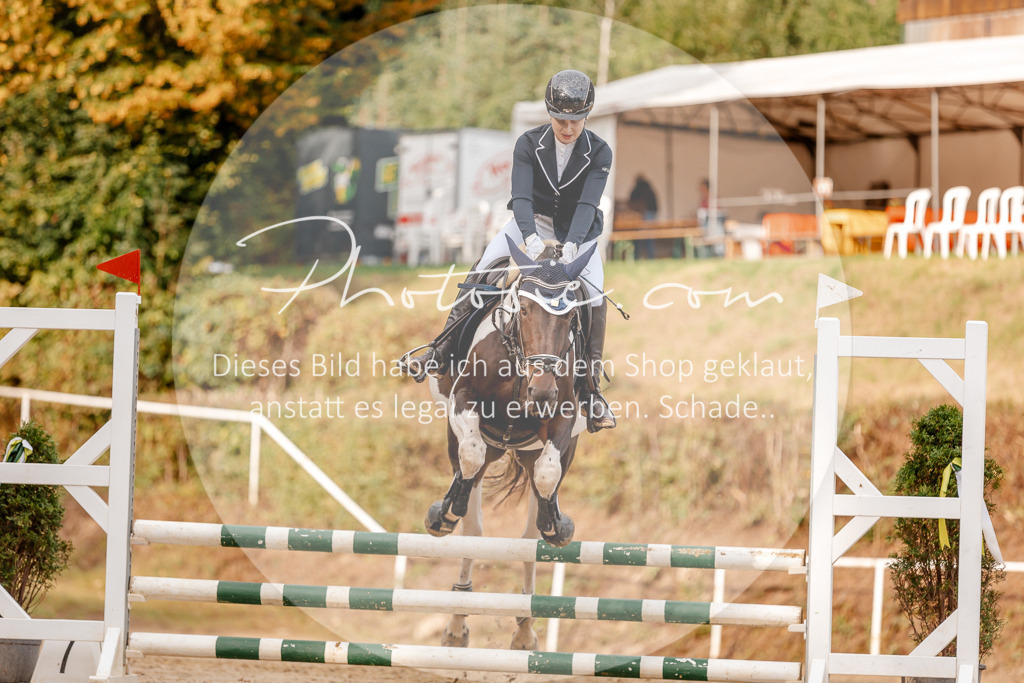 3I6A2728 | Stimmungsvolle Portraits und Reitsportfotografie im Ruhrgebiet und im Münsterland.

Pferdefotografie, Hundefotografie, Tierfotografie, Reportagen, Portraits von Tier und Mensch, Turnierfotografie in Bochum, Recklinghausen, Marl, Haltern am See, Dülmen.. - Realisiert mit Pictrs.com