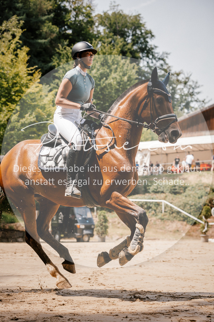 3I6A8025 | Stimmungsvolle Portraits und Reitsportfotografie im Ruhrgebiet und im Münsterland.

Pferdefotografie, Hundefotografie, Tierfotografie, Reportagen, Portraits von Tier und Mensch, Turnierfotografie in Bochum, Recklinghausen, Marl, Haltern am See, Dülmen.. - Realisiert mit Pictrs.com