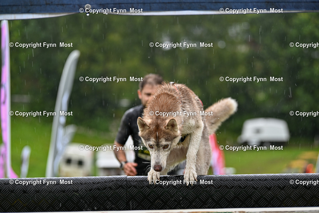 DSC_6895 | Hallo und herzlich Willkommen auf meiner Shop-Seite Fynn Most.

Ich wünsche Dir viel Spaß beim stöbern durch die Bilder, wenn Du Fragen hast oder Bilder vermisst, kannst du mir gerne eine Nachricht schreiben. - Realisiert mit Pictrs.com