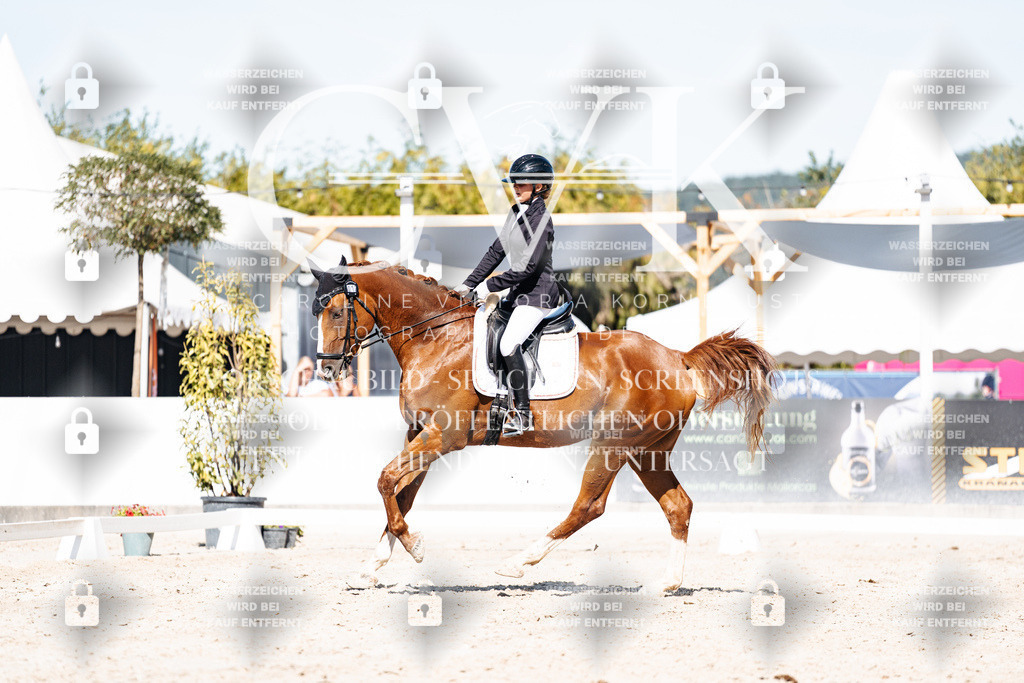CK908826 | Turnierfotografie Pferdefotografie Trier Rheinland-Pfalz Pferdesport Reitsport Tierfotografie Sportfotografie Pferdevideo Pferdevideografie Equestrianvideography equestrianphotography  - Realisiert mit Pictrs.com