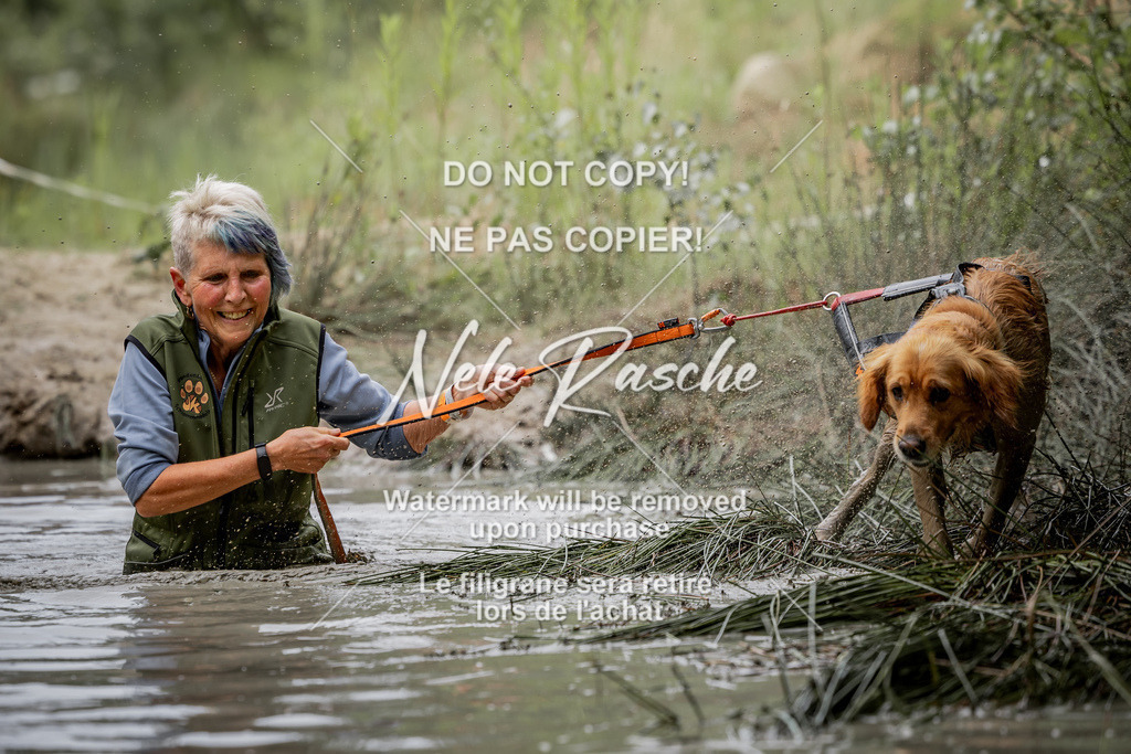 nelerasche_so0800-0930_228 | nelerasche