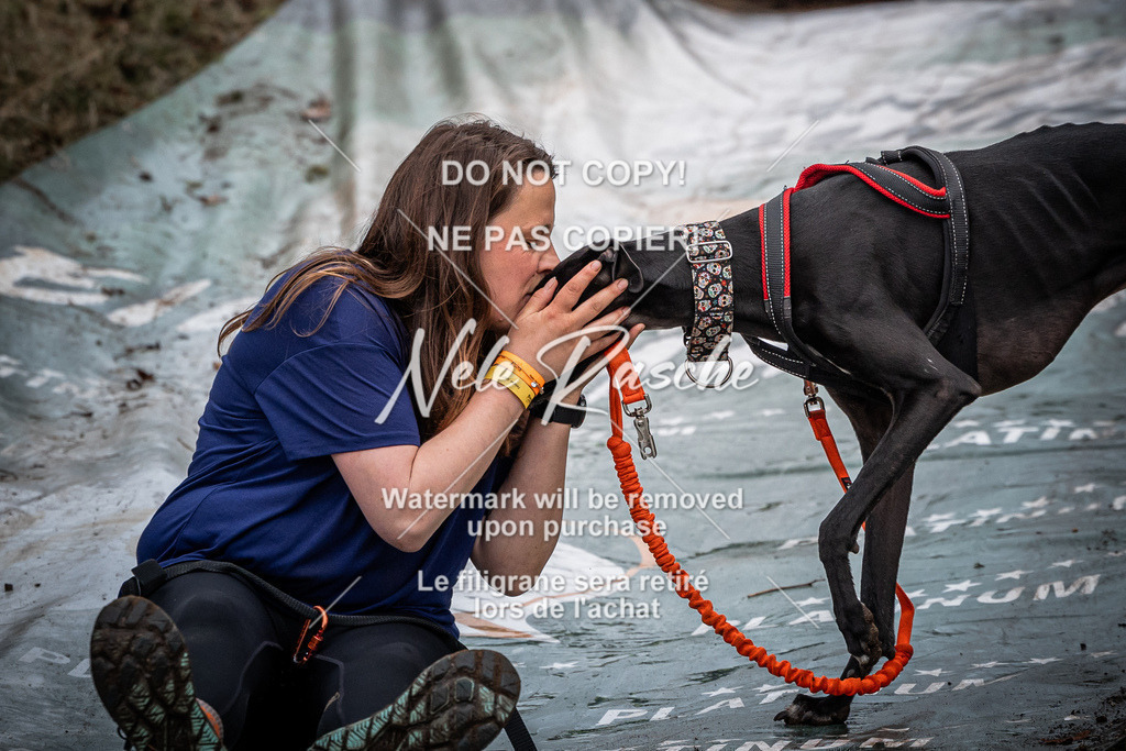 nelerasche_1130-1230_330 | nelerasche