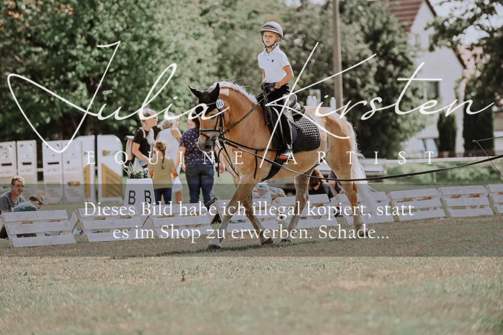 DSC_7753 | Pferde- und Turnierfotografie in Westsachsen. Pferdeportraits, Auftragszeichnungen und intuitive Kunst.