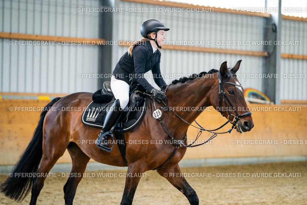 DSC00652 | Pferdegrafie