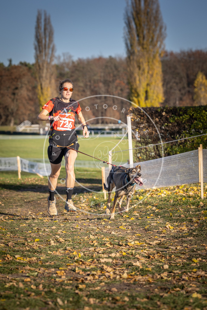 CaniXpix_DV3A1960 | Hundefotografie, Tierfotograf, Pfotenfotografie, Fotoshooting Hund, Hunde Portrait, Hundesport, Hundeportraits, Heideshooting, Hunde, Sportfotograf, Hundefotograf, Turnierhundsport, THS,  - Realisiert mit Pictrs.com