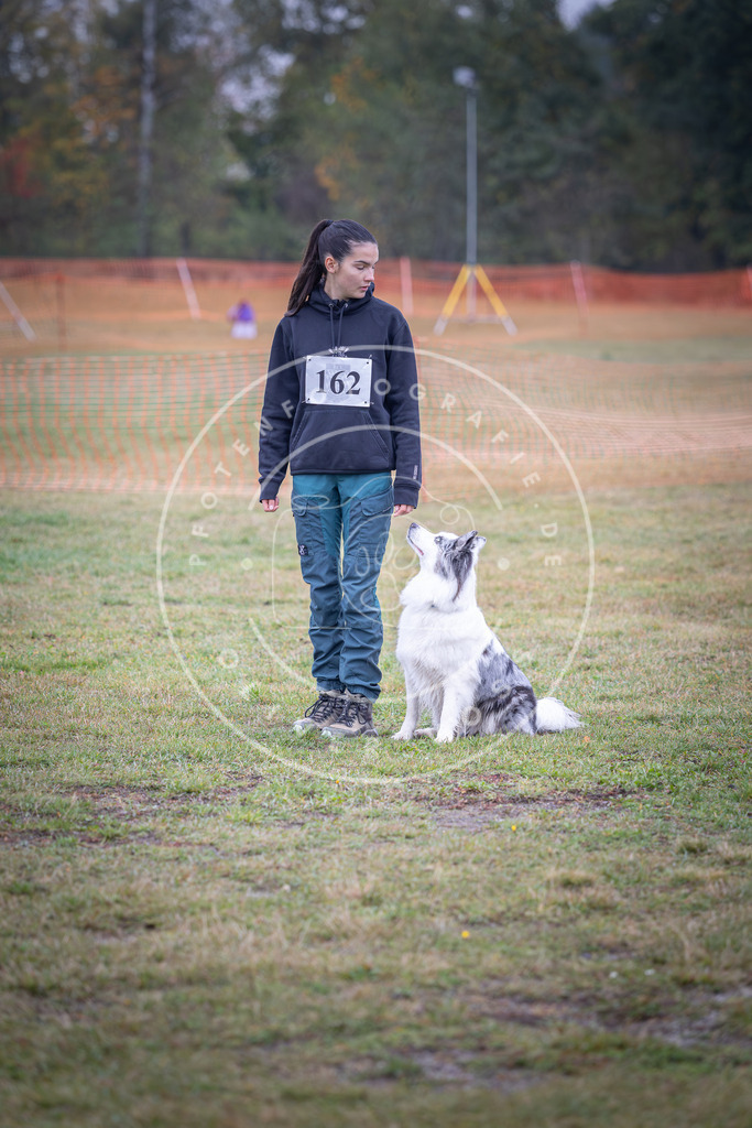Pfotenfotografie_DV3A8825 | Hundefotografie, Tierfotograf, Pfotenfotografie, Fotoshooting Hund, Hunde Portrait, Hundesport, Hundeportraits, Heideshooting, Hunde, Sportfotograf, Hundefotograf, Turnierhundsport, THS,  - Realisiert mit Pictrs.com