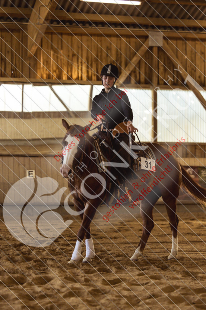 IMG_5661 | Sport-, Event- und Tierfotos in Profiqualität. Einfach auswählen, bestellen und herunterladen. Dein Moment – perfekt festgehalten.