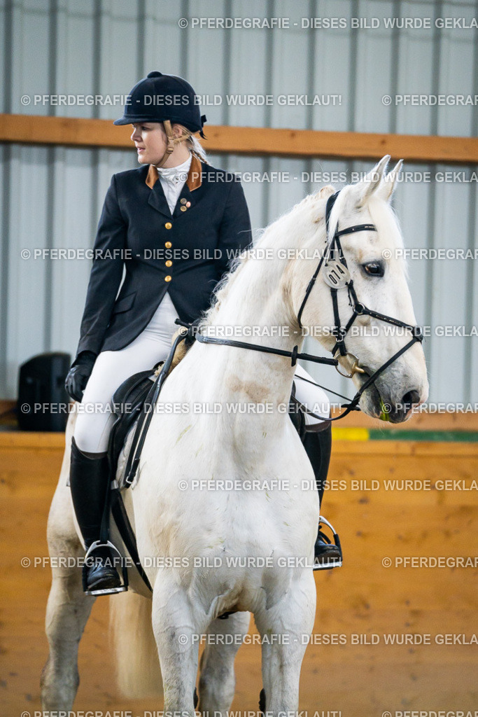 DSC00773 | Pferdegrafie