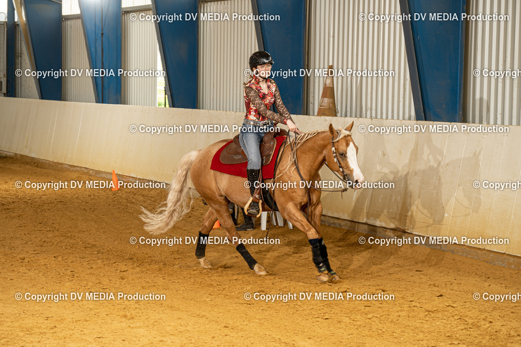 MIT00268 | dv-media-shop - Realisiert mit Pictrs.com