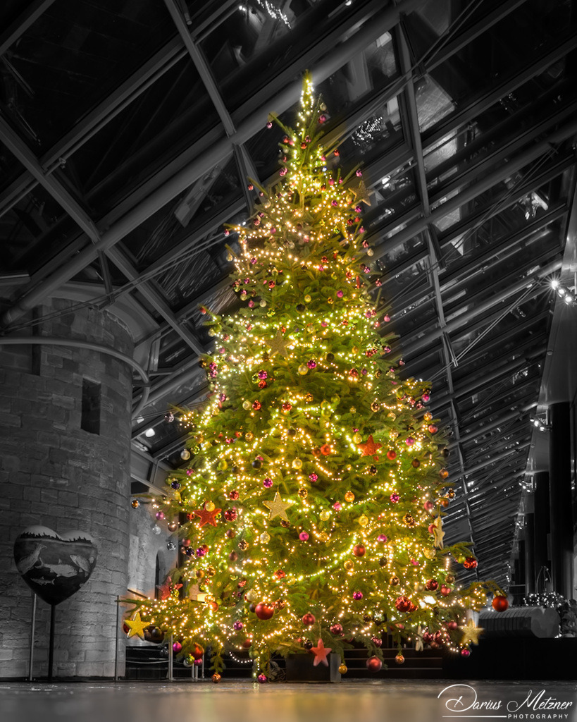 Weihnachten in Mainz am Rhein | Weihnachten in Mainz am Rhein