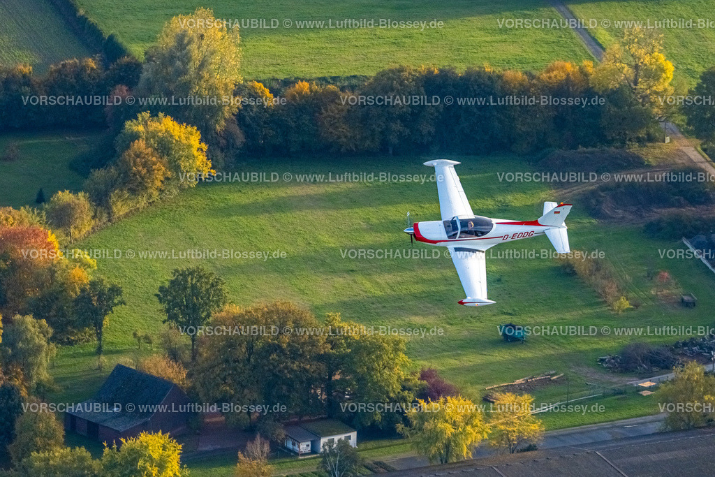 Hamm221006401marchetti_Thorsten_Wesselmann | Luftbild, Flugzeug in der Luft, Flugzeug D-EODG, Aircraft D-EODG, SIAI-Marchetti SF-260, einmotoriges Leichtflugzeug, Bäume in Herbstfarben, Heessen, Hamm, Ruhrgebiet, Nordrhein-Westfalen, Deutschland