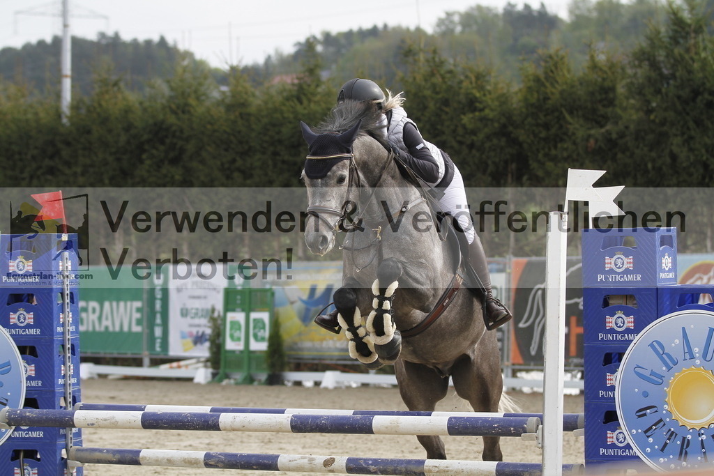 _MG_0555 | equestrian-live-com