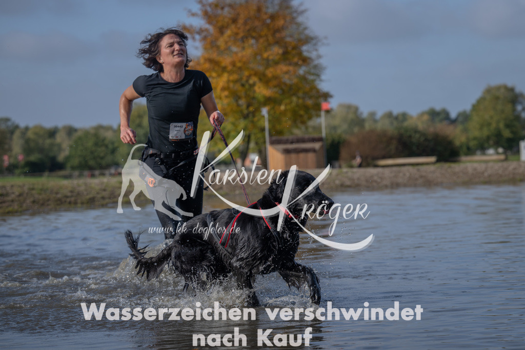 1100_ZZ90955 | kk-dogfotos
