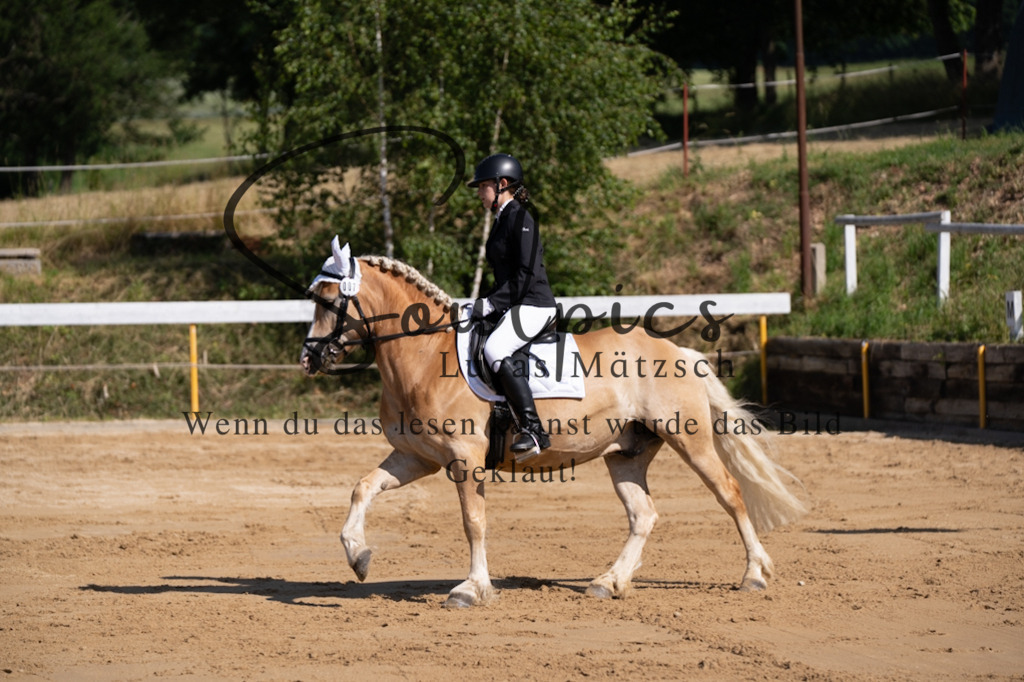 A7V07736 | Turnier/Reitfotograf