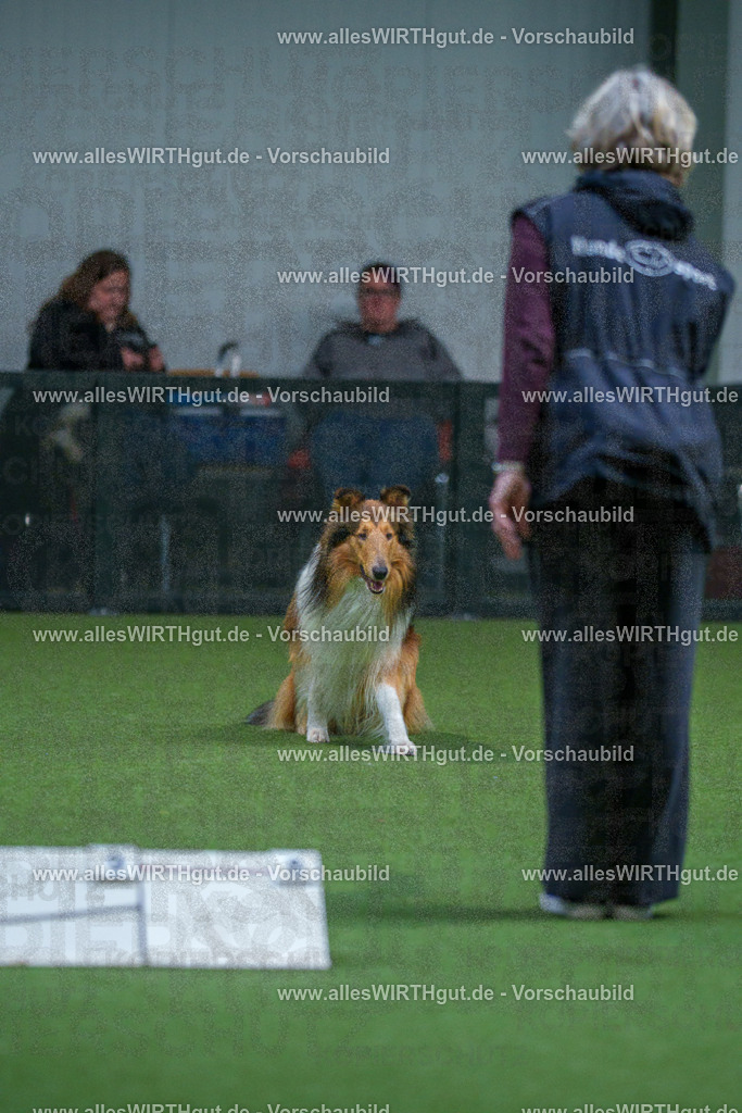 7R502098 | Professionelle Tierfotografie in Mönchengladbach von Daniel Wirth (allesWIRTHgut). Liebevolle & natürliche Bilder von Hunden & Katzen für unvergessliche Erinnerungen.