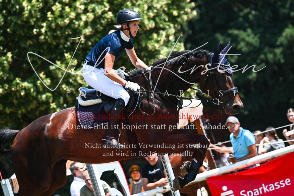 DSC_0091 | Pferde- und Turnierfotografie in Westsachsen. Pferdeportraits, Auftragszeichnungen und intuitive Kunst.