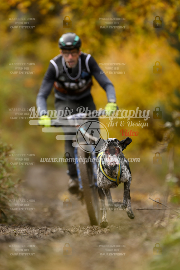 MompixPhotography_ICF_WC_2024_SA_Bike_-162 | PayLife