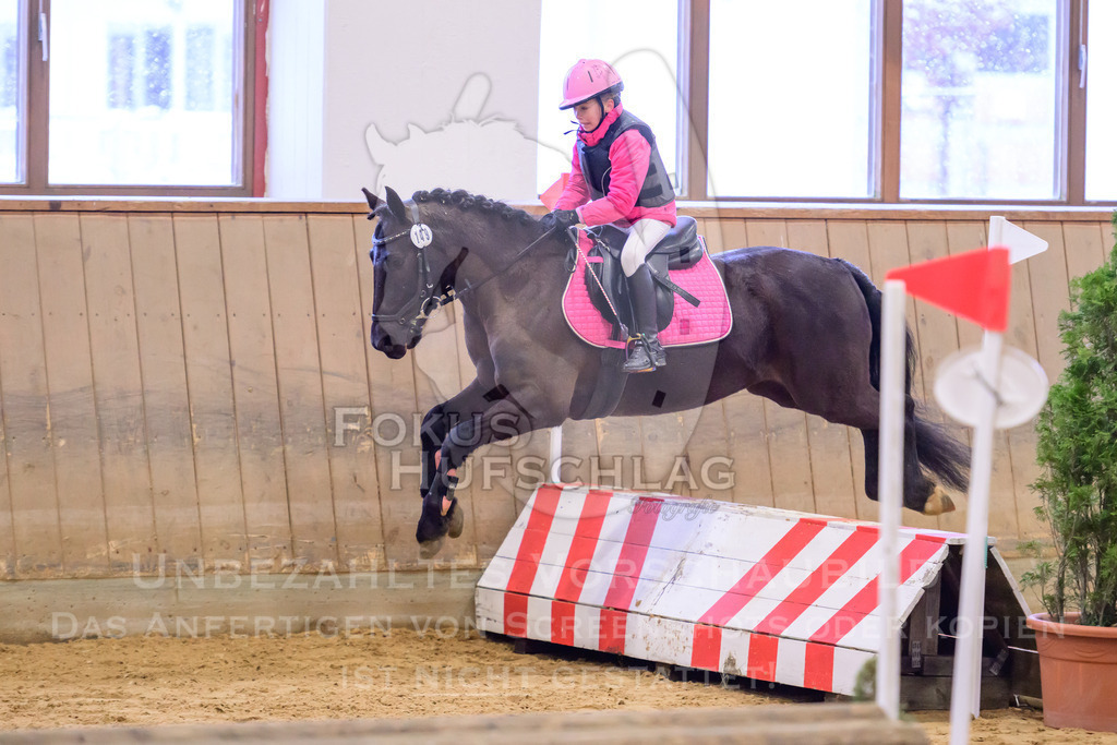 29032026-Schwaiganger-Prfg01-089 | Fokus Hufschlag Fotografie - Realisiert mit Pictrs.com