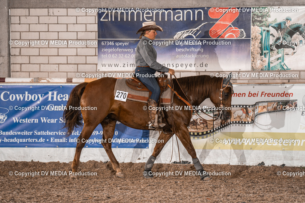 ZH200812 | dv-media-shop - Realisiert mit Pictrs.com