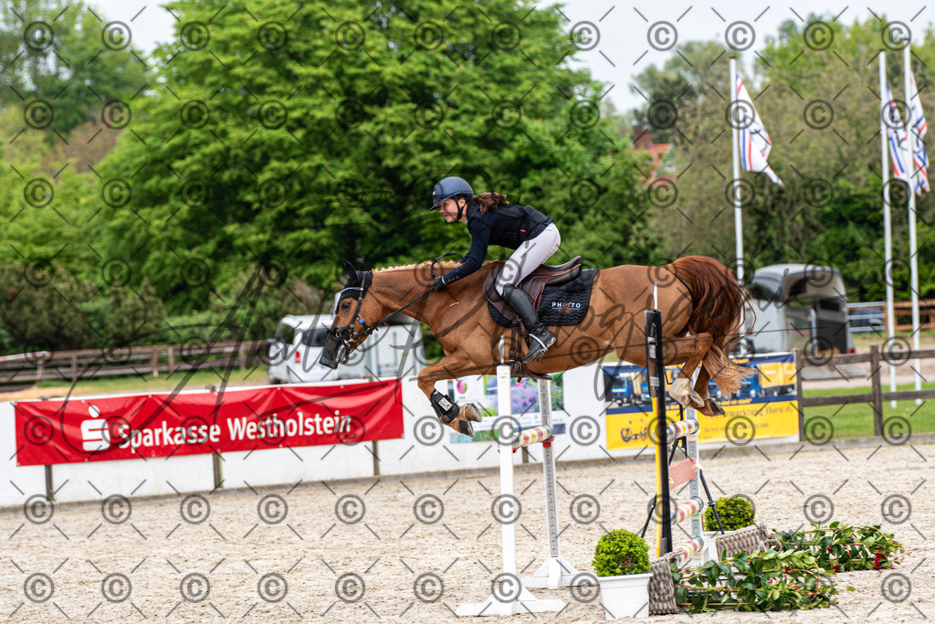 KPT_8306 | andre_photographic