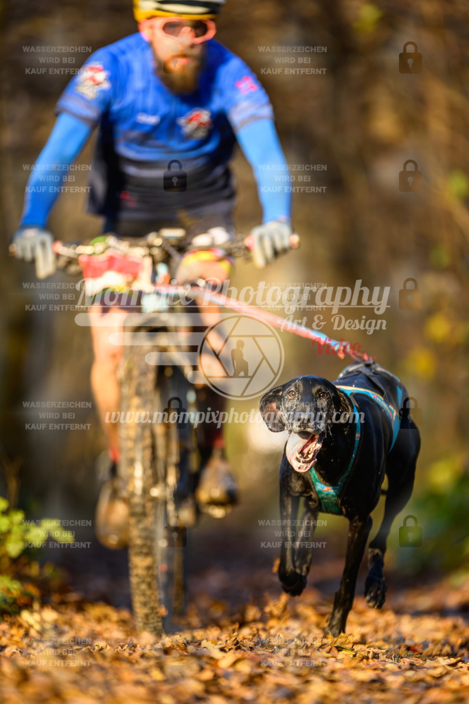MompixPhotography_Eschau2024_Bike-2 | PayLife