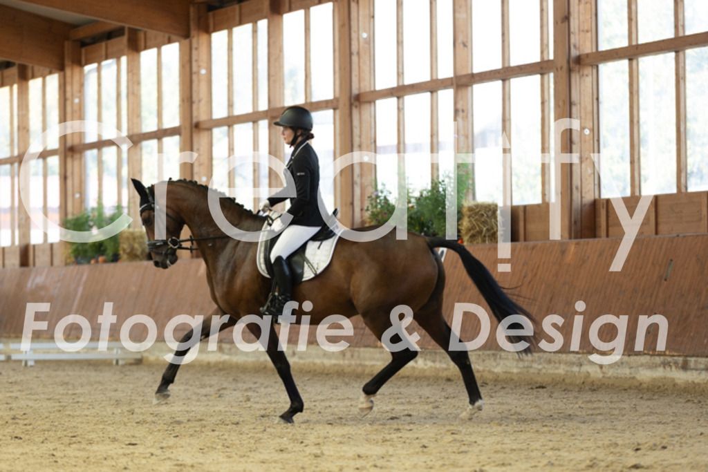 IMG_9863 | Creatify Fotografie