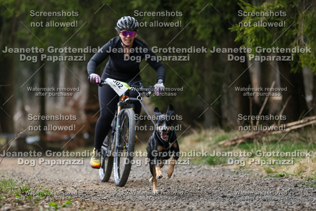Dog Paparazzi - VCC26-566 | Dog Paparazzi Jeanette Grottendiek Fotografie & Videografie - Realisiert mit Pictrs.com