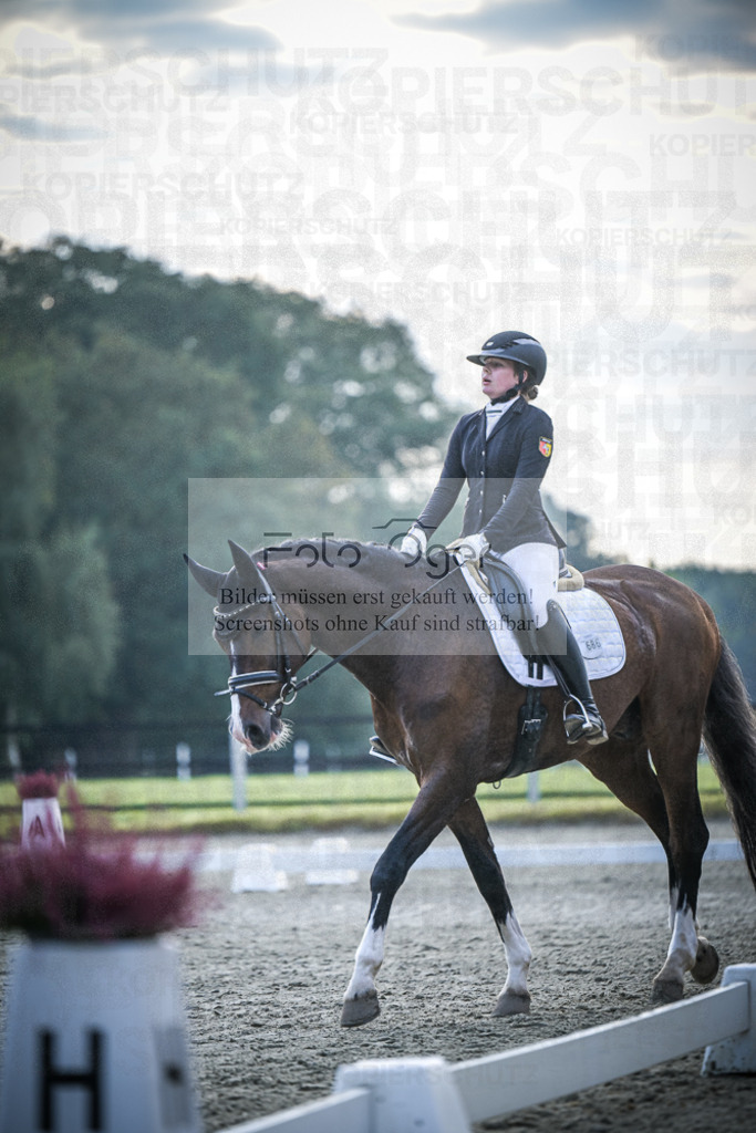 DOS_3793 | Entdecke hochwertige Reitturnierfotos von Foto Oger. Professionell, emotional und authentisch – jetzt Lieblingsmomente im Shop bestellen.Deutschlandweite Turnierfotografie. - Realisiert mit Pictrs.com