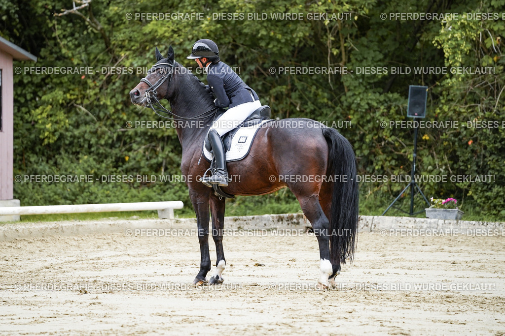 DSC09201 | Pferdegrafie